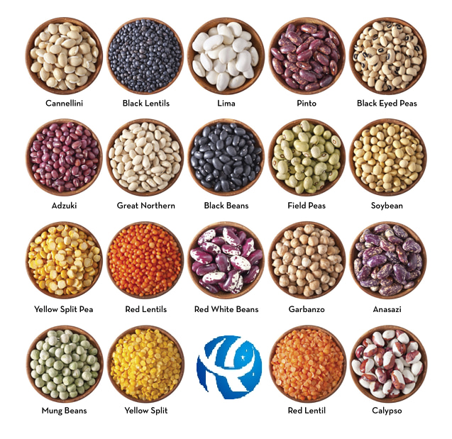 Beans, Lentils, Peas, Rice Automatic Granule Packing Machine  Beans, Lentils, Peas, Rice Automatic Granule Packing Machine