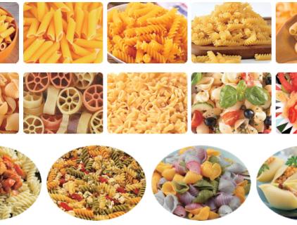 Repair And Maintenance of Macaroni Pasta Production Line
