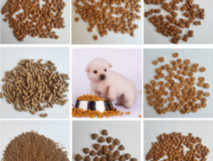 How To Adjust The Formula Of Dog Food